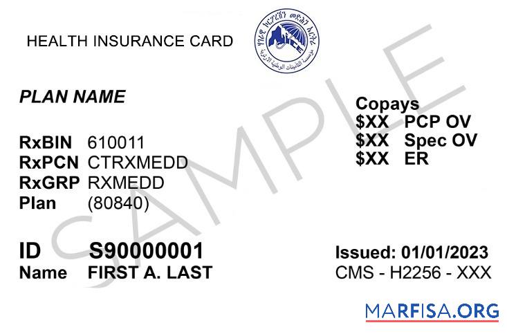 Downloadable Eritrea health insurance card real example